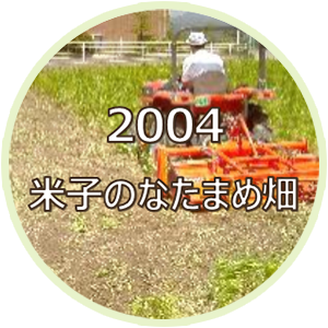 2004 米子のなたまめ畑