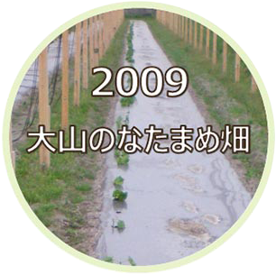 2009 大山のなたまめ畑