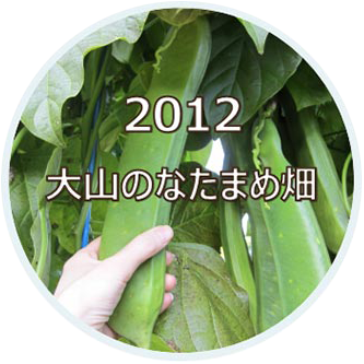 2012 大山のなたまめ畑