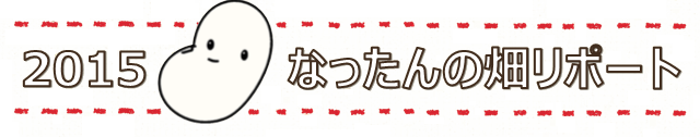 2015 なったんの畑リポート