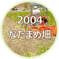 2004 米子のなたまめ畑