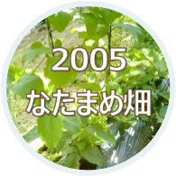 2005 大山のなたまめ畑