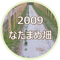 2009 大山のなたまめ畑