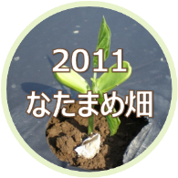 2011 大山のなたまめ畑