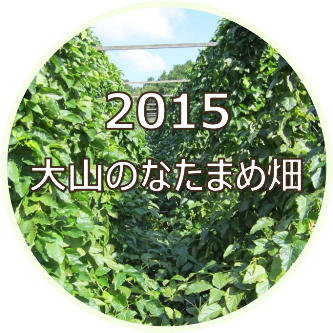 2015 大山のなたまめ畑