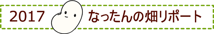 2017 なったんの畑リポート